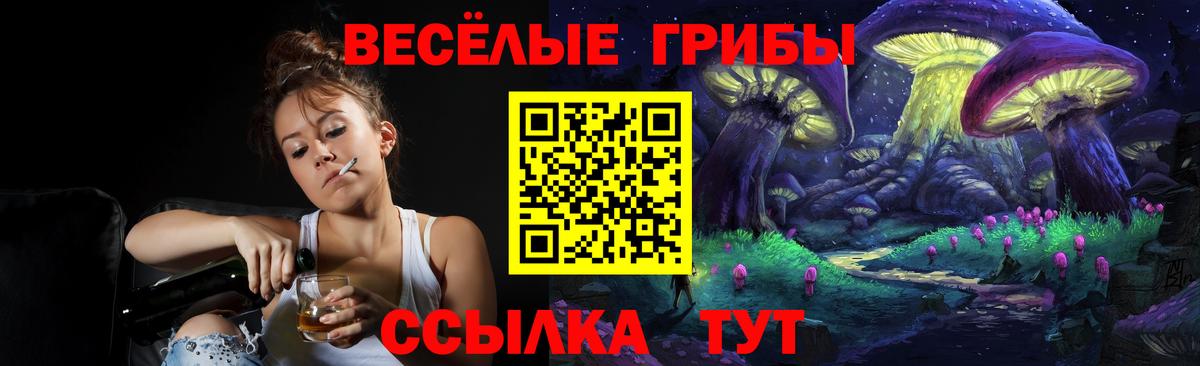 Псилоцибиновые грибы Cubensis Севастополь
